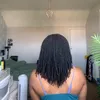 kienahlocs