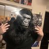 bigrob0infamous