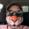 rizzopapabear