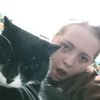 tigerpawxox