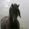 teg_345