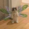 katinaforever14