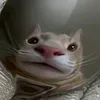 _sialissa