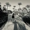 _janastnn