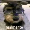 santmjj