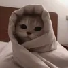 malaieka_s