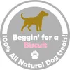 begginforabiscuit