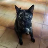 gioncamera