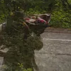 elisa_kgtci