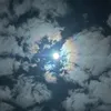 afr1n366