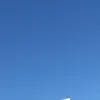 dash_shs