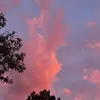 l_u_c_i_a_17