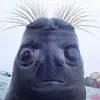 snesnorre