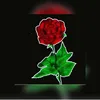 abucketfullofroses