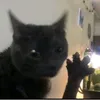 hellotraveler2