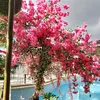 marina043042