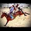 rodeo.hoss2003