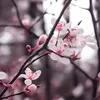 margi_kb