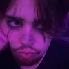 stardustproject