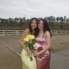sofia..reneee