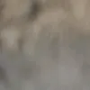 ___________0100000