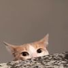 kittymag1c777
