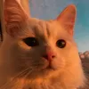herikus