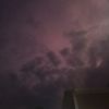 kentucky_blue_moon3