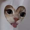 hhhaaannnaaaaaa