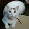 catriona_0213