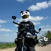 z900er.panda