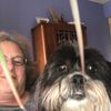 elizabeth_lovesfurbabies