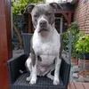 melly830405
