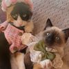 MinoucheandMicha