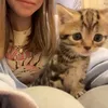 wikirr__