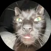 adifferentbrandofbeans21