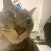 smirfcum