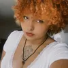 stebia_vivaz
