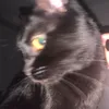 urnotkyo