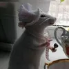 oldmencontactmepls