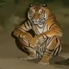 le_zo_