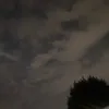 ridgyuk