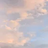 ms_sy