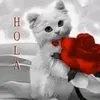 mmmarazzz