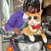mr.wor1dw1de