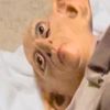 stinkypeenie
