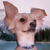 SoyTitan