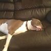 mariah050308