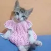 cherryyberries