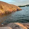 linnea.alshom